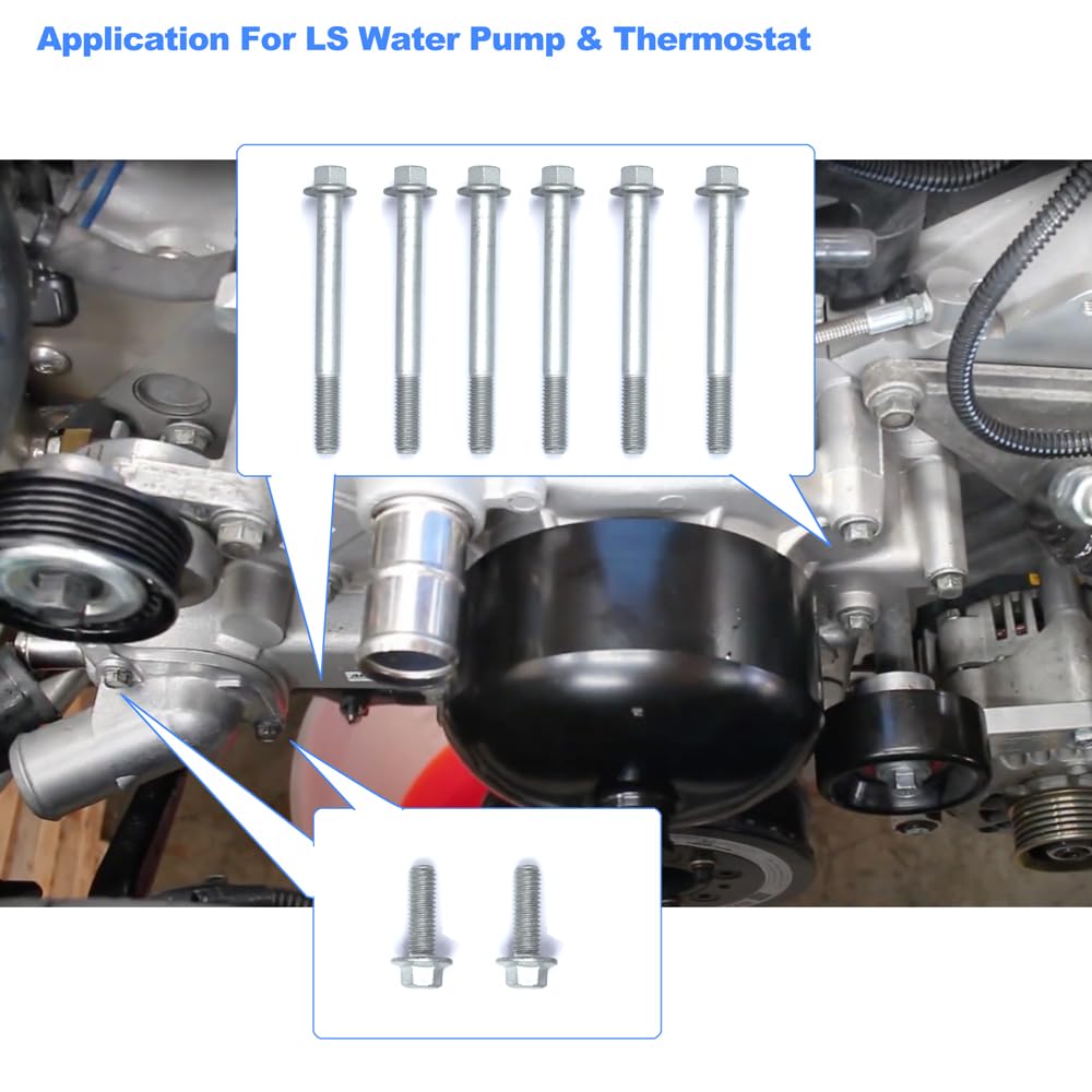 8 PCS Water Pump Bolts Thermostat Bolt for LS LS1 LS2 LS3 LS6 LSX LS7 LSA LQ4 LQ9 L99 LS9 LM7 LR4 L33 LH6 L92 L76 L96 L82 L83 L84 L86 L87 GM,Replace for 551434 134-3201 1343201